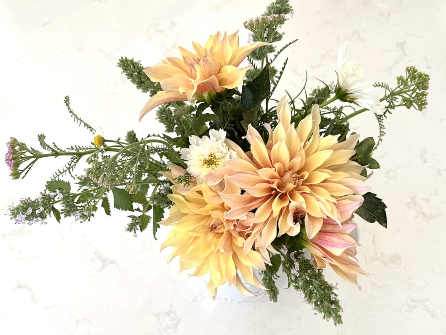 Bouquet of dahlias. 